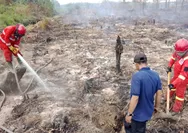 Sinergi Tim Gabungan Berhasil Padamkan Karhutla di Bengkayang