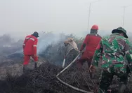 Kemenhut Kolaborasi bersama Forkopimda Ketapang Perkuat Penanggulangan Karhutla di Sungai Pelang