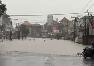 Banjir Hebat di Denpasar Bali Sorotan Media Asing: 6 Tewas dan Akses Lumpuh