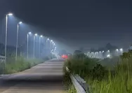 Jalan Bomang Kini Terang! 316 PJU Terpasang, Warga Puji Bupati Bogor