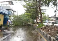 Angin Kencang Terjang Kota Bandung, 31 Pohon Tumbang, Tanggul Jebol Picu Banjir
