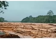 Jejak Kerusakan Tak Terbantahkan, WALHI Beberkan 1,4 Juta Ha Hutan Hilang hingga Ledakan Perizinan