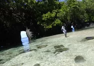 Pulau Enggano: Surga Tersembunyi di Samudera Hindia Menggoda Para Wisatawan