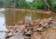 WALHI hingga akademisi soroti pencemaran Teluk Buli, pemerintah diminta audit aktivitas tambang