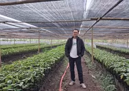 Generasi muda Subang diajak bertani kakao, peluang usaha terbuka lebar di pasar global
