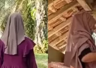 Viral pimpinan ponpes Tebo Jambi diduga rudapaksa 7 santriwati di ruang kelas hingga kandang kambing