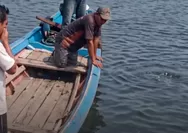 Diduga sempat tegur oknum vandalisme, satpam kawasan waduk Jatiluhur ditemukan meninggal dunia di tepian danau
