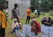 Tak perlu lahan luas, hidroponik sumbu jadi solusi bertani di perkotaan