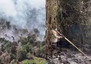 Telisik kasus karhutla yang landa riau, picu dugaan kesengajaan oknum untuk buka lahan hortikultura