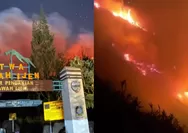 Kebakaran merembet hingga jalur pendakian, wisata Kawah Ijen ditutup total
