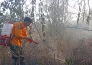 Kebakaran lahan di Dawuan Subang, ilalang seluas 2 hektare terbakar