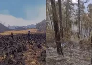 Amukan karhutla terjang Gunung Buthak-Kawinajang di Jatim, 1.000 hektare hangus terbakar