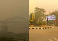Curhatan warga Barito Utara Kalteng, langit menguning dampak kabut asap karhutla: Ini bukan filter foto