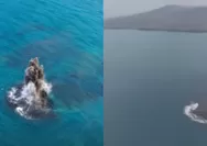Telisik fenomena daratan baru yang disebut Cucu Krakatau, benarkah itu gunung api anyar?