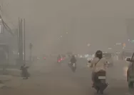 Ramai unggahan situasi Kalimantan yang masih dikepung kabut asap dan ‘aktivitas normal’, ada apa?