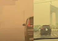 Sempat membaik, warga Palangka Raya kembali teriak kabut asap selimuti kota: Makin pekat, aroma yang menyengat