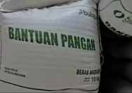 Ini penyebab penerima bantuan beras 30 kg hanya dapat 20 kg di Kenali Besar Jambi, Bulog minta lurah tanggung jawab