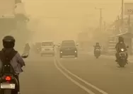 Pekatnya kabut asap selimuti Palangka Raya: Sudah 3 bulan tidak melihat langit biru