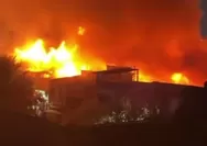 50 Bangunan terdampak kebakaran Kramat Pulo, tak ada korban jiwa dan penyebab diselidiki