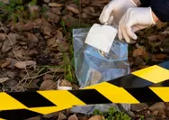 Bareskrim gerebek 9 lokasi rawan narkoba di Sumut, 36 orang diamankan
