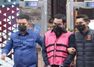 Kejagung tangkap bos tambang berinisial DS, diduga rugikan negara Rp401 miliar