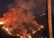 Viral lereng Gunung Lawu menyala merah, api karhutla mulai dekati jalur pendakian