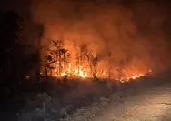 3 Hari padamkan api karhutla, warga Papua hadapi ancaman di tanah leluhur