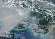 Karhutla Papua lepaskan lebih dari 35 juta ton karbon, NASA ungkap temuan mengejutkan