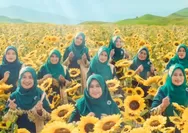 Lirik Lagu Ini Ramadan Kita dari Nasida Ria feat JKT 48: Banyak Sukanya, Banyak Tanyanya, Banyak Cara Menikmatinya