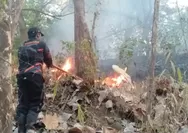 Kemenhut Minta Penanganan Karhutla Banjarbaru Dilanjutkan dengan Kajian Pascapemadaman