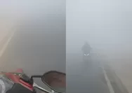 Jarak Pandang Terbatas dan Lampu Kendaraan Tak Tembus Kabut Asap, Warga Kalsel Adu Klakson di Jalan