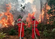 6 Provinsi di Kalimantan dan Sumatera Jadi Prioritas Penanganan Karhutla, Operasi Darat Jadi Ujung Tombak