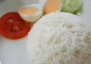 Pengidap Diabetes Disarankan Makan Nasi Dingin, Ini Alasannya