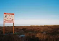 Rip Current Tak Hanya Terjadi Saat Cuaca Buruk, Ini 6 Mitos dan Fakta Tentang Rip Current