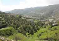 Umroh Plus City Tour Kota Thaif, Destinasi Favorit KIAS Travel