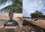 Heboh Kayu Super Besar usai Banjir Bandang di Aceh Tamiang, Disebut Bisa Dijadikan Untuk Bikin Kapal Nabi Nuh
