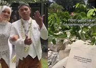 Penuh dengan Kesadaran Ekologis, Viral Pasangan Gen Z Jadikan Bibit Pohon sebagai Souvenir Unik di Pernikahan Mereka