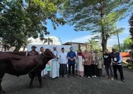 Iduladha 1447 H di Al Azhar BSD: 13 Sapi dan 143 Kambing Dikurbankan, Wujud Ibadah Sosial dan Pendidikan Karakter