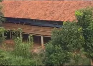 Bau Menyengat Diduga dari Peternakan Ayam di Cilalung Tangsel Dikeluhkan Warga, Izin Operasional Dipertanyakan