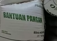 Bantuan Beras Kenali Besar Jambi Tak Sesuai, Bulog Ungkap Ada Kesepakatan Sebelum Penyaluran