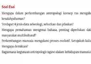 SOAL TES FORMATIF ESAI! KUNCI JAWABAN ANTROPOLOGI KELAS 11 HALAMAN 165 KURIKULUM MERDEKA Mengapa Dalam Perkembangan Antropologi Konsep Ras Mengalami 