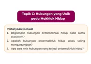 PERTANYAAN ESENSIAL! KUNCI JAWABAN IPAS KELAS 3 HALAMAN 78 KURIKULUM MERDEKA BAGAIMANA HUBUNGAN ANTARMAKHLUK HIDUP PADA SUATU EKOSISTEM