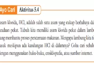 AYO CARI AKTIVITAS 5.4! KUNCI JAWABAN IPA KELAS 9 HALAMAN 122 KURIKULUM MERDEKA Asam Klorida, Hcl, Adalah Salah Satu Asam yang Cukup Berbahaya Dalam 