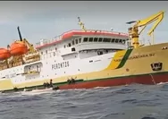 Info Jadwal Kapal KM Sabuk Nusantara 82 Periode 27 Juni – 6 Juli 2026 Rute Kendari -Waodeburi – Pasarwajo – Wanci – Tomia – Binongko – Kalabahi 
