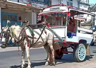 Mengenal Moda Transportasi Cidomo dari Lombok, Ikon Wisata Bumi Sasak