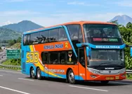 Jadwal dan Tarif Bus Rosalia Indah Semarang – Malang Edisi 17 - 31 Mei 2026 Lengkap Pilihan Sleeper Bus