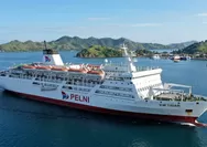 Pelni Ambon Catat 2.527 Tiket Terjual Jelang Libur Idul Adha 1447 H, Bau-Bau dan Sorong Jadi Tujuan Favorit Penumpang