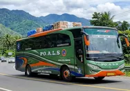 Info Lengkap Jadwal Bus ALS Rute Amplas - Jakarta - Semarang - Surabaya - Jember Periode 1 - 15 Juni 2026 Lengkap dengan Jam Berangkat dan Harga Tiket