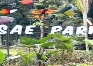 Salatiga Eco Park 2026: Wisata Liburan Sekolah Anak Edukatif Lengkap dengan Penginapan Keluarga dan Berbagai Macam Wahana Menarik
