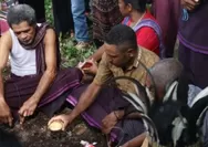 Mengenal Tradisi Gute Semei di Wulandoni, Ritual Kumpulkan Darah Korban Pembunuhan Demi Perdamaian